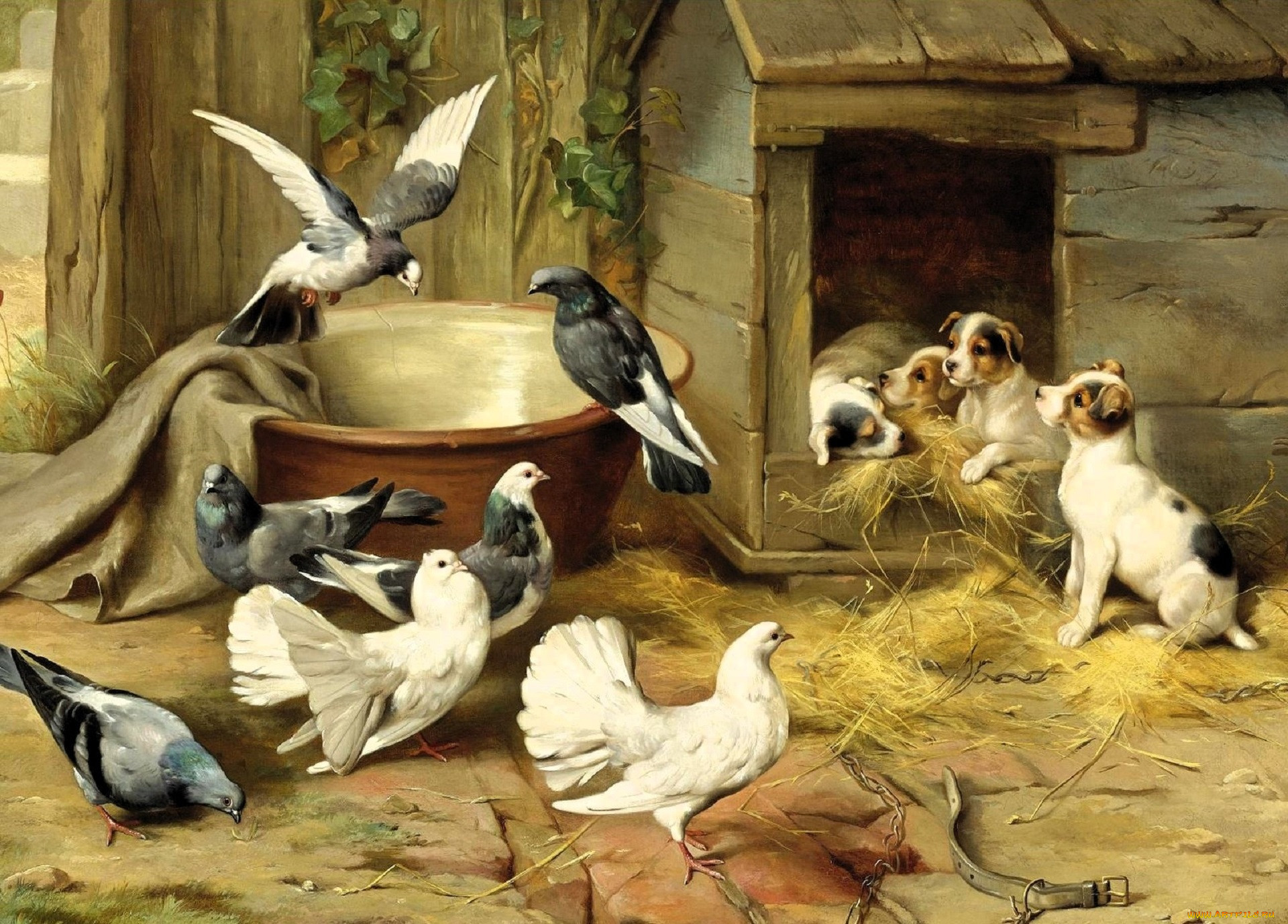 ����������, edgar hunt, ������, ������, ������, �����, ����, �����